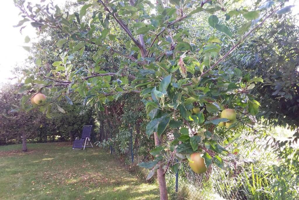Huis Bij De Catalpa Dordrecht Luaran gambar