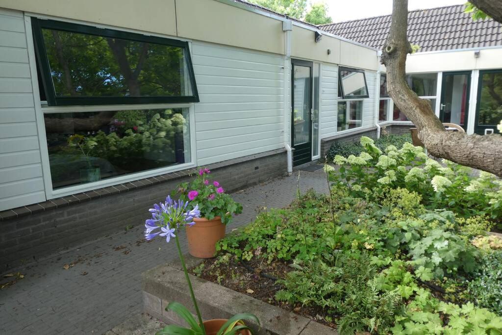 Huis Bij De Catalpa Dordrecht Luaran gambar