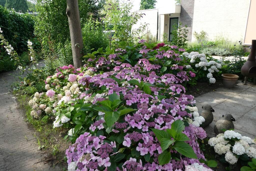 Huis Bij De Catalpa Dordrecht Luaran gambar